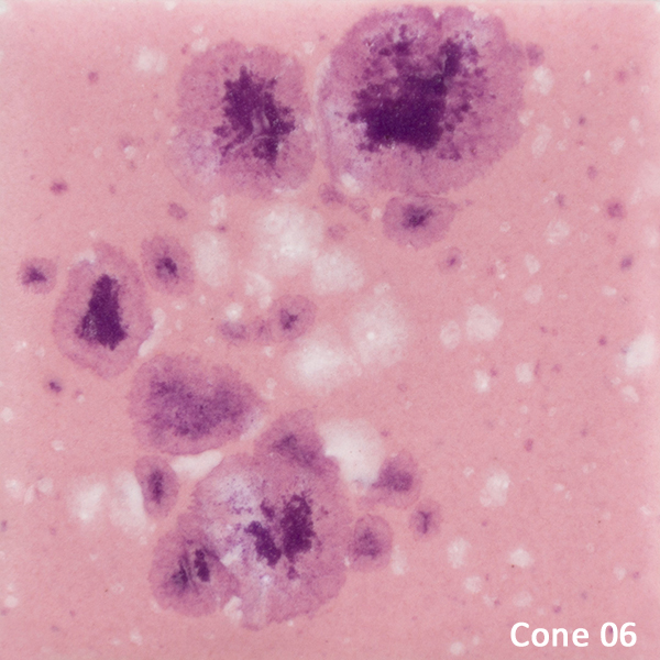 cg1014 cone06