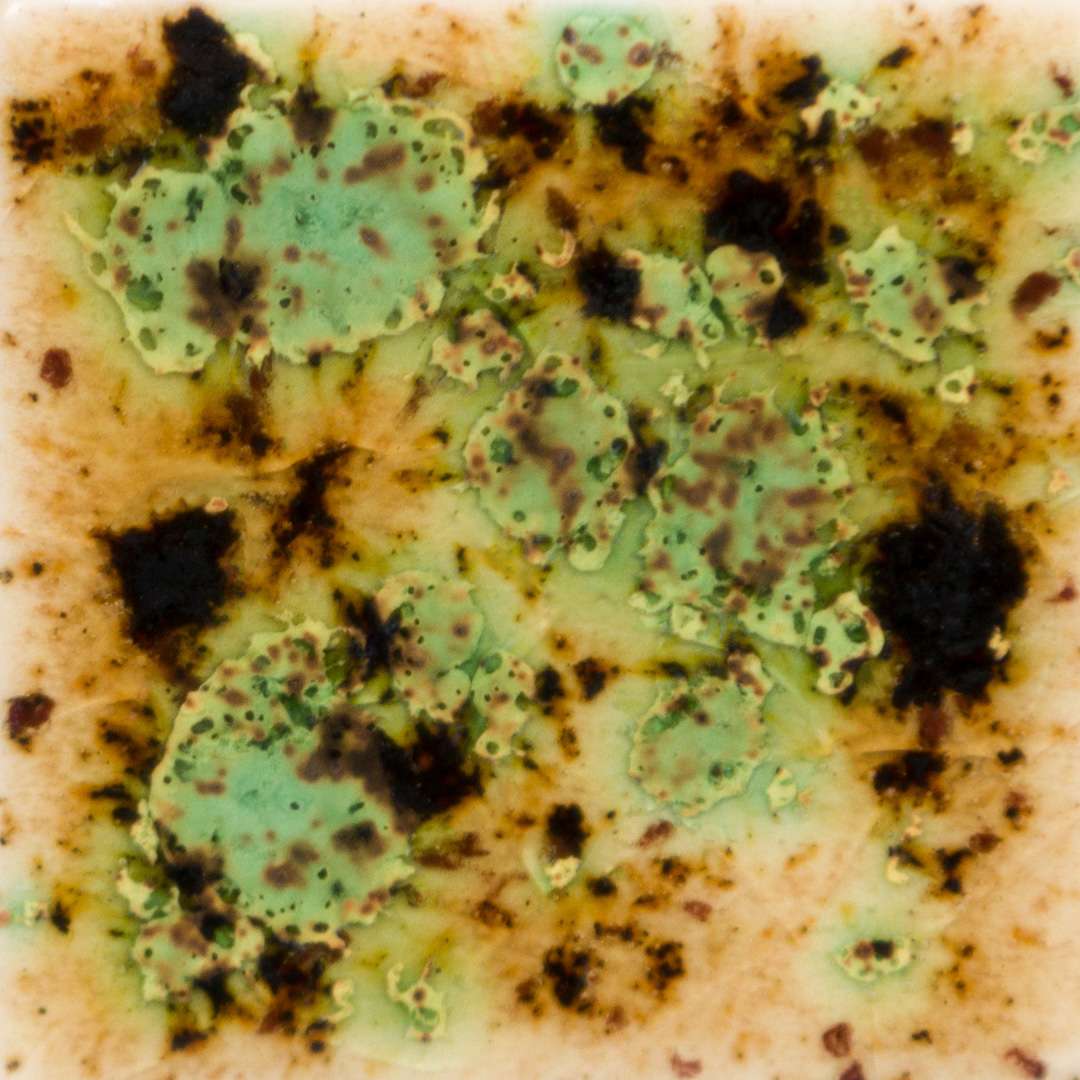 S2709_Cappuccino_Mint