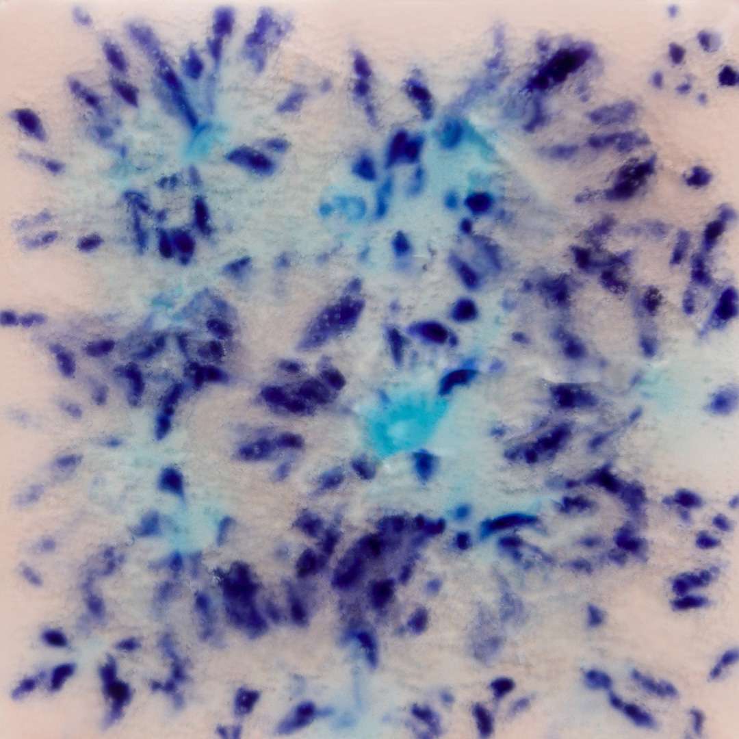 S2702_Northern_Lights