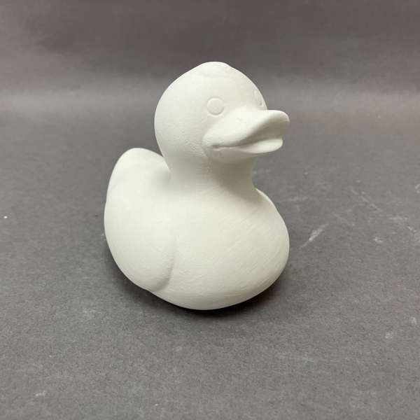 BI1167 Ducky