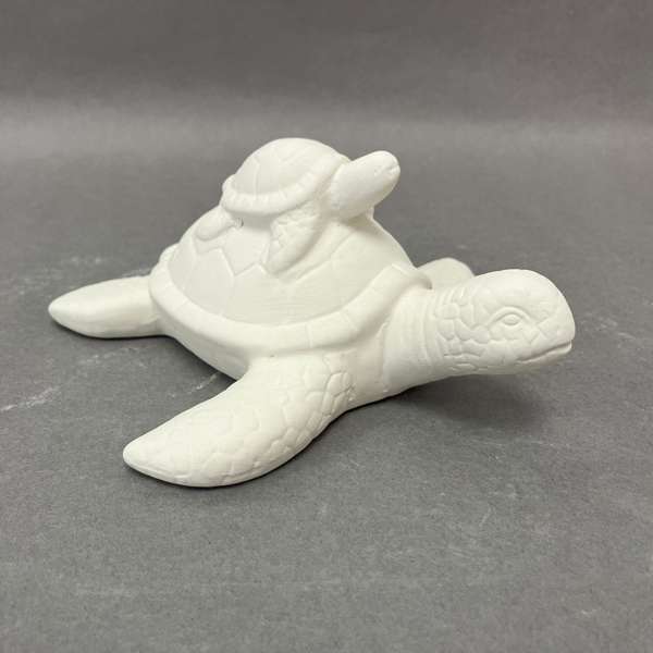 BI2364 Mama and Baby Turtle