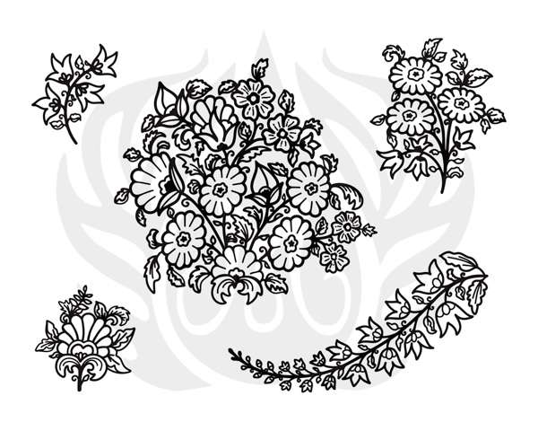 DSS0205 Bellfleur