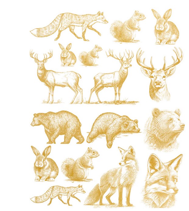 gold woodland animal transfer for pottery